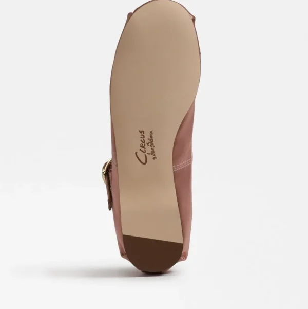Circus by Sam Edelman Flat- Zuri Strap Ballet Flat Dark French