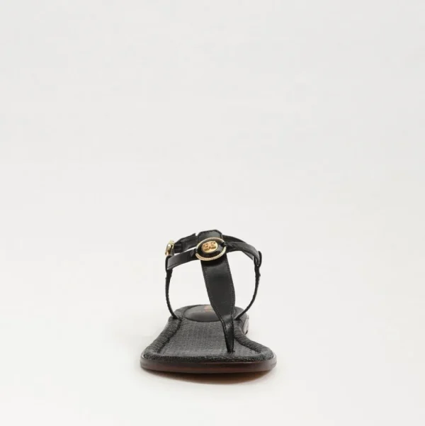 Sam Edelman Sandal- Gigi Black Signet Sandal