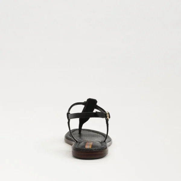 Sam Edelman Sandal- Gigi Black Signet Sandal