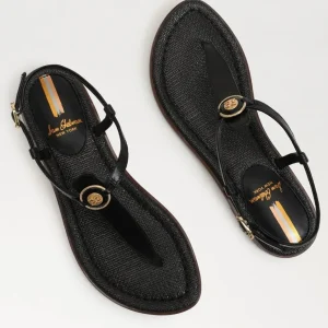Sam Edelman Sandal- Gigi Black Signet Sandal